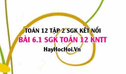 Bài 6.1 SGK Toán 12 tập 2 Kết nối tri thức
